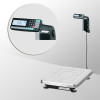 Весы с печатью этикеток TB-S-15.2-RL1 артикул 500874 TB-S-15.2-RL1 