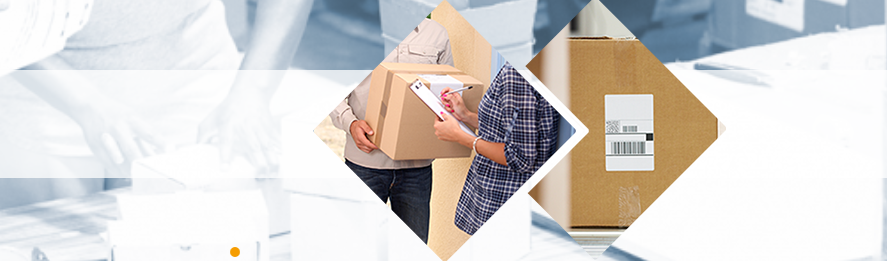 ТСД Newland в городе Ставрополь